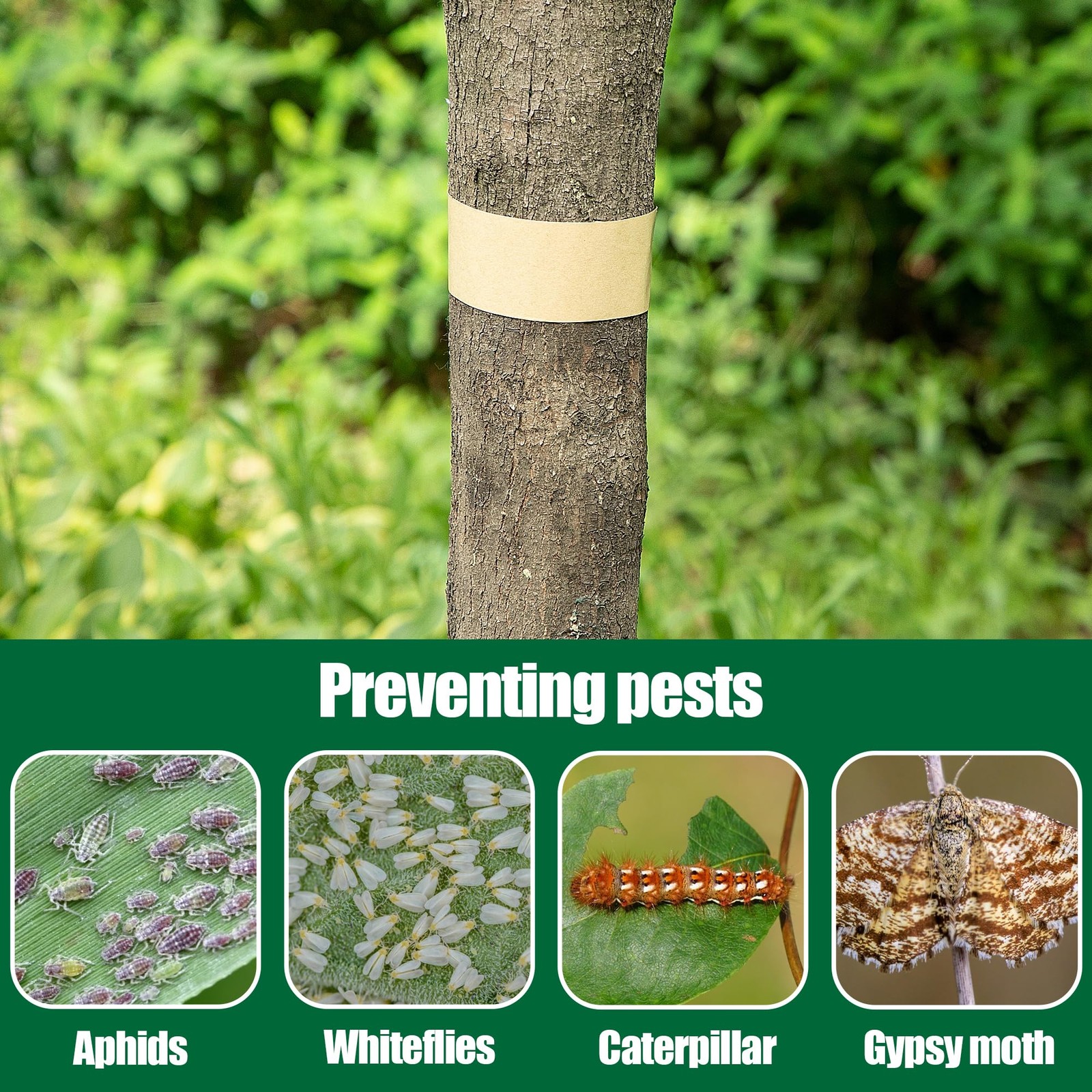 165 Ft x 2 Inch Tree Insect Barrier Tape, Cicada Tree Wrap Protection Tape, A…