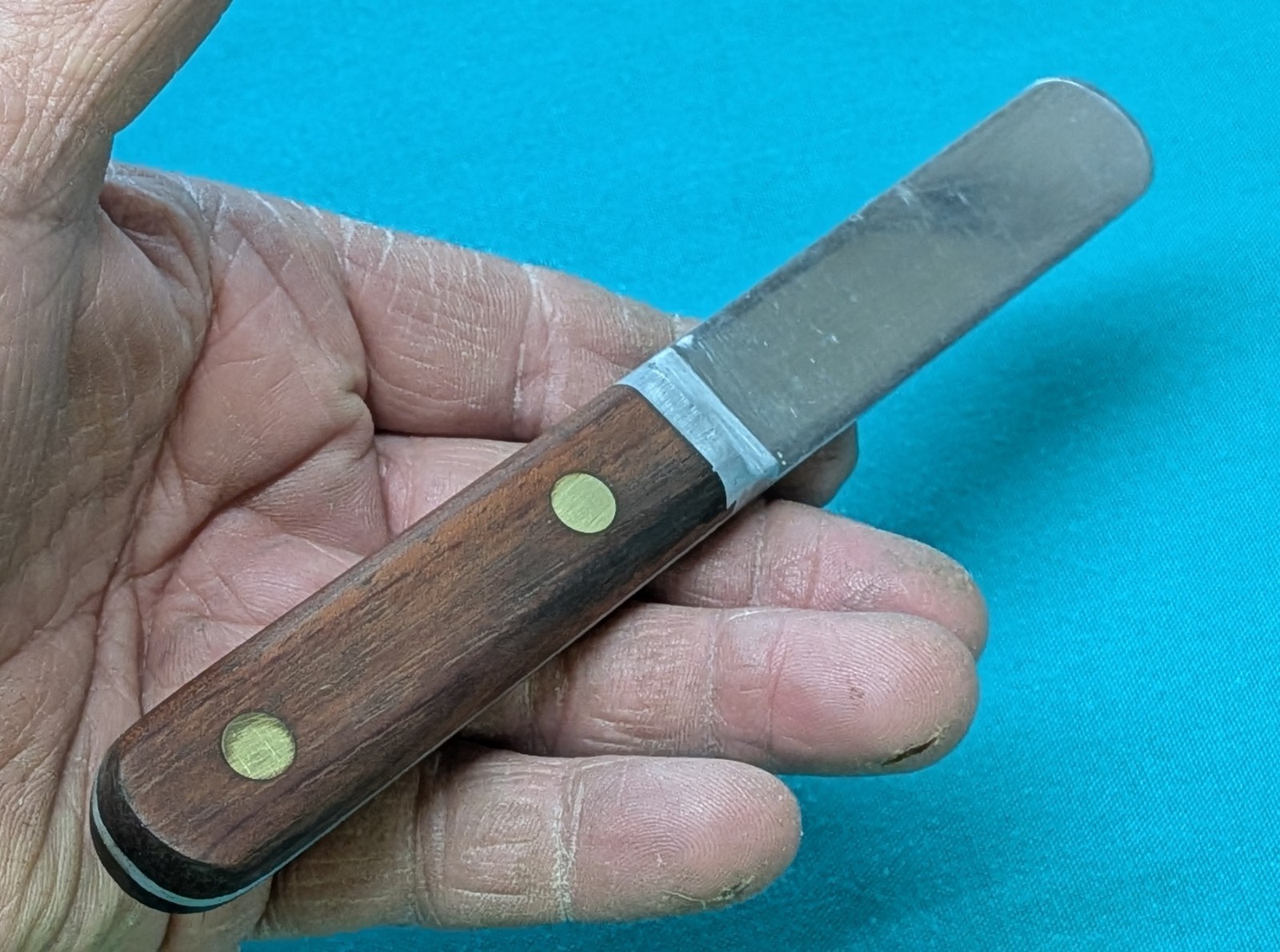 Vintage KERR MFG. Co. Dental Plaster Spatula? Stainless Steel w/ Hardwood Scales