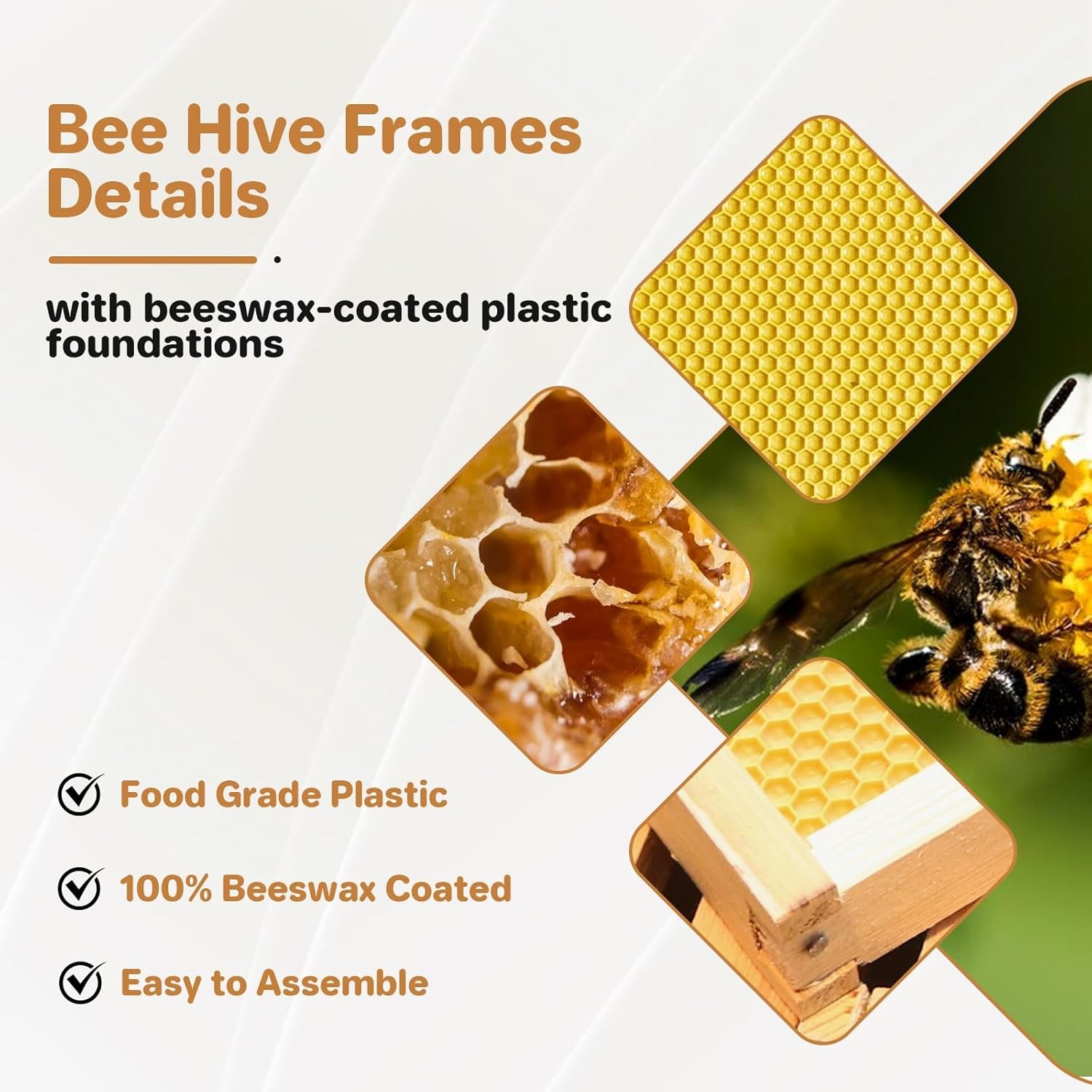 10 Frame Medium Super Bee Hive Box Langstroth Honey Bee Hive Dipped in 100%