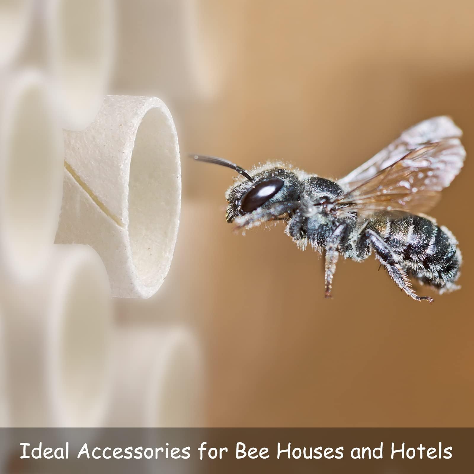 200 Pieces Bee Tube Refill Mason Bee Paper Inserts 6 Inches Bee Cardboard Tub…