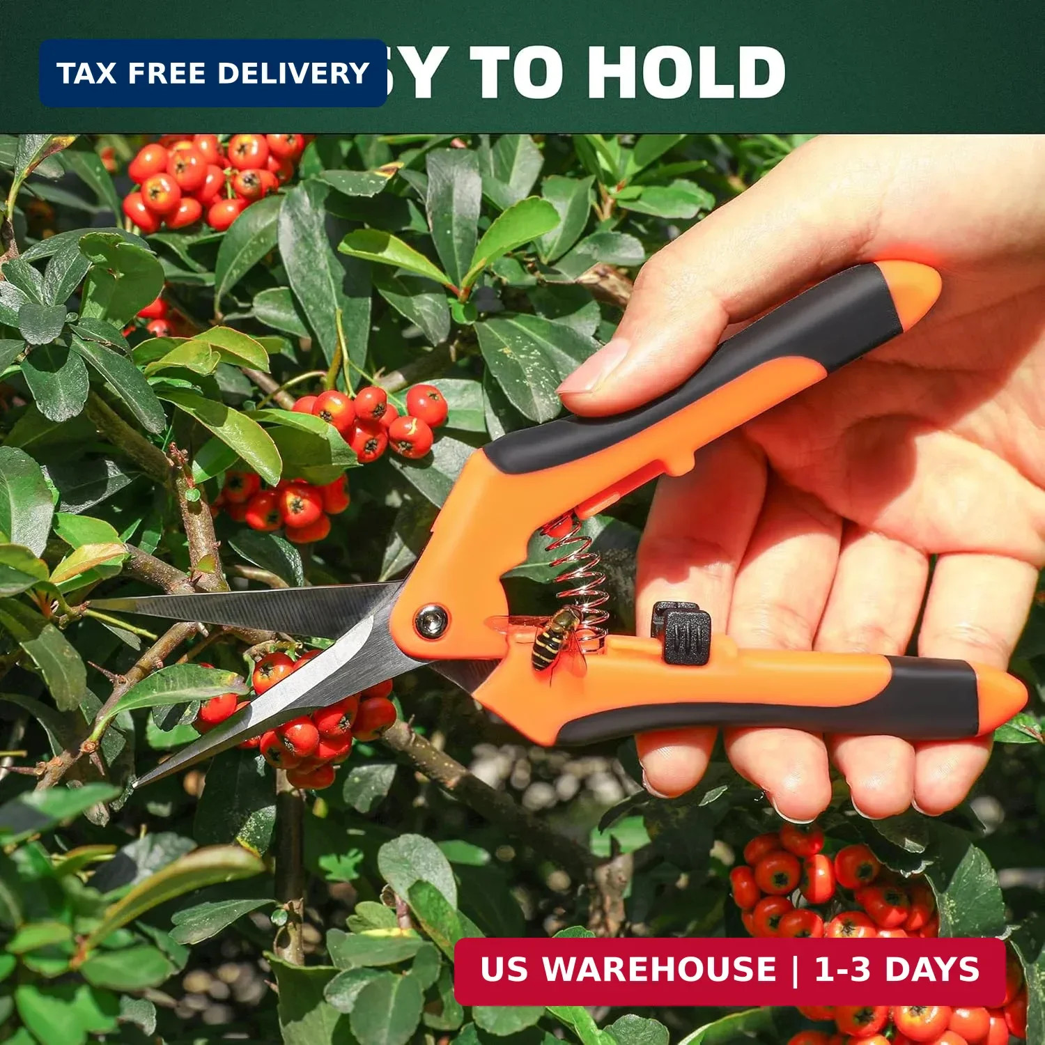 EWPJDK 3 Pack Garden Pruning Shears Scissors Clippers Stainless Steel | Gardenin