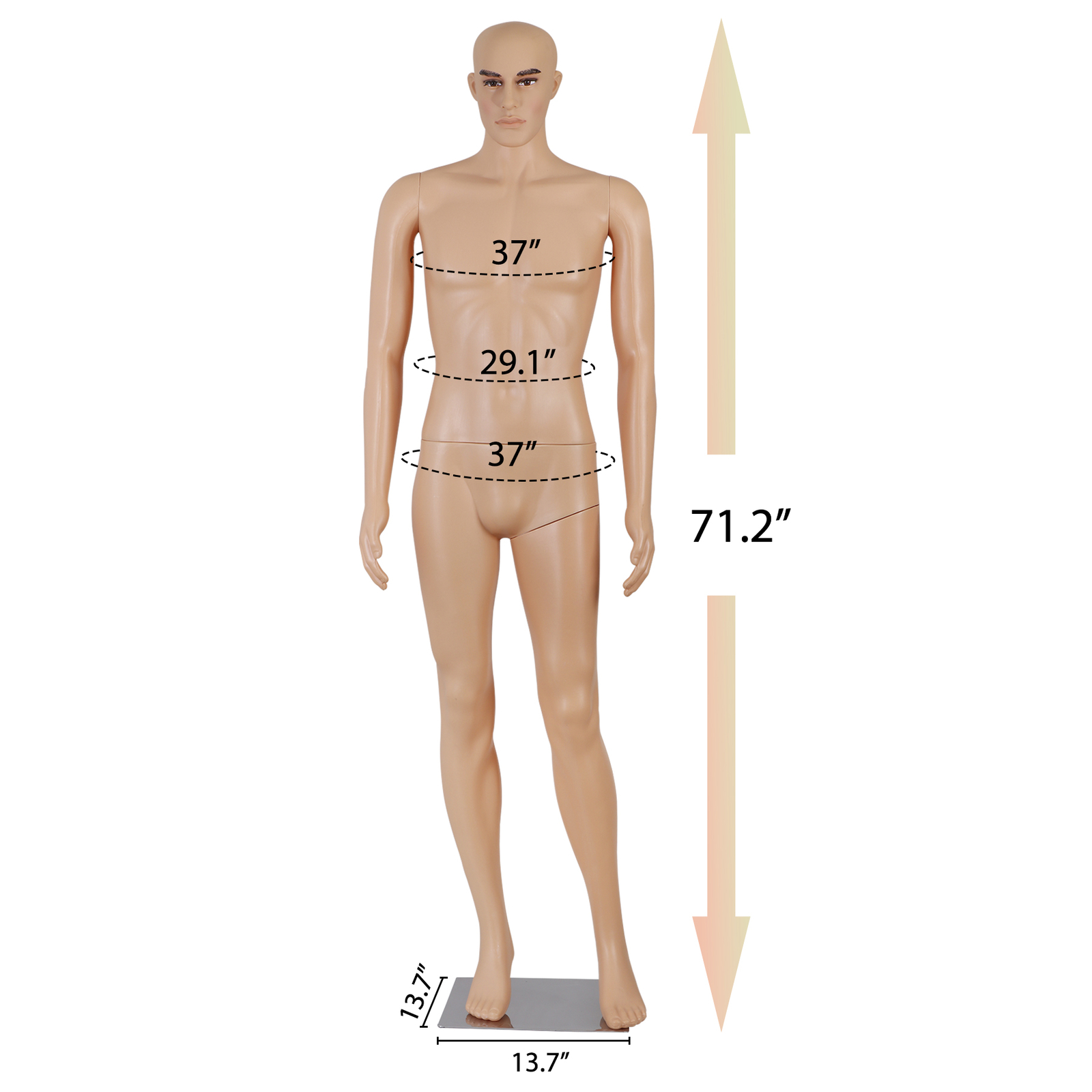 Adjustable Male Mannequin Egghead Plastic Full Body Dress Form Display Base 72″