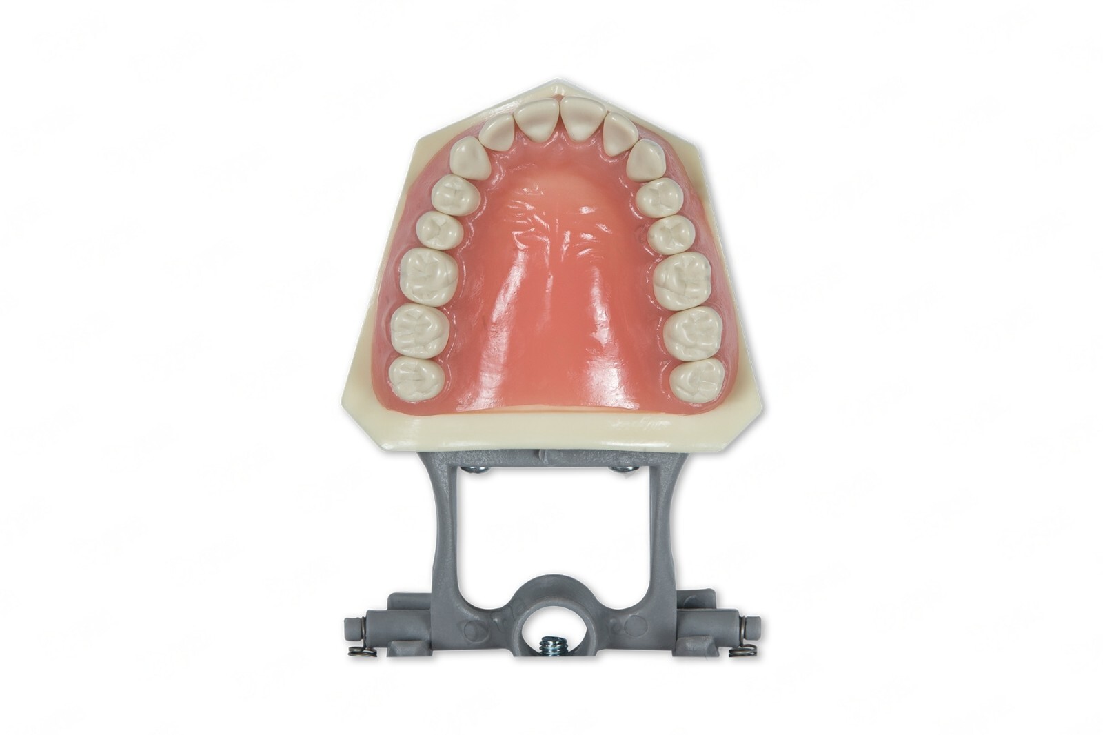 DENTAL TYPODONT 860 PLUS BONUS 5 TEETH (Molars) FITS COLUMBIA BRAND TEETH