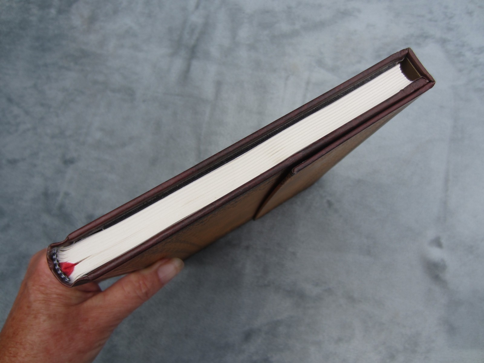 NEW~2002~Embossed Leather Paper Blanks Journal