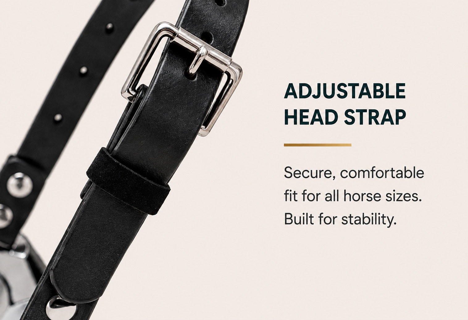 Hausman SE Equine Dental Speculum Adjustable 5 Ratchet Waterproof BioThane Strap