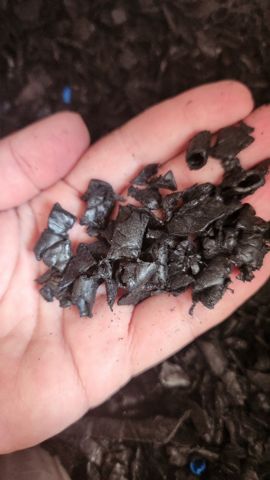 Shredded HDPE Recycled Plastics, Plastic Flakes 1 Lb