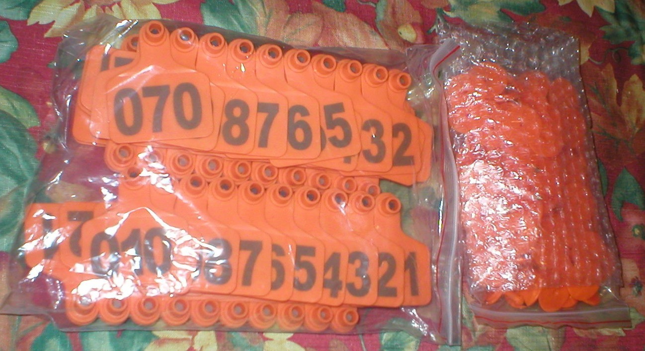 LIVESTOCK ANIMAL EAR TAGS ORANGE PLASTIC LOT OF 100 SOLD AS IS