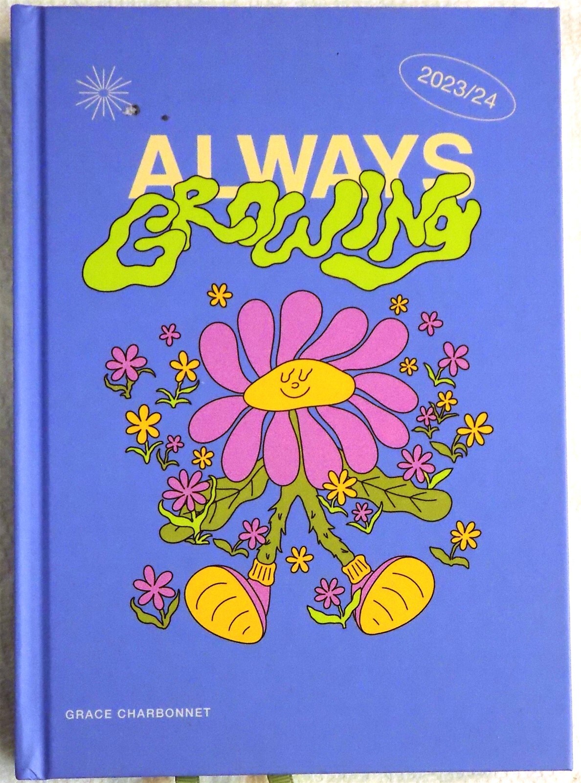 Lot of 2: Papier «Big Plans, And Always Growing» My Notebook/Academic Planner HC