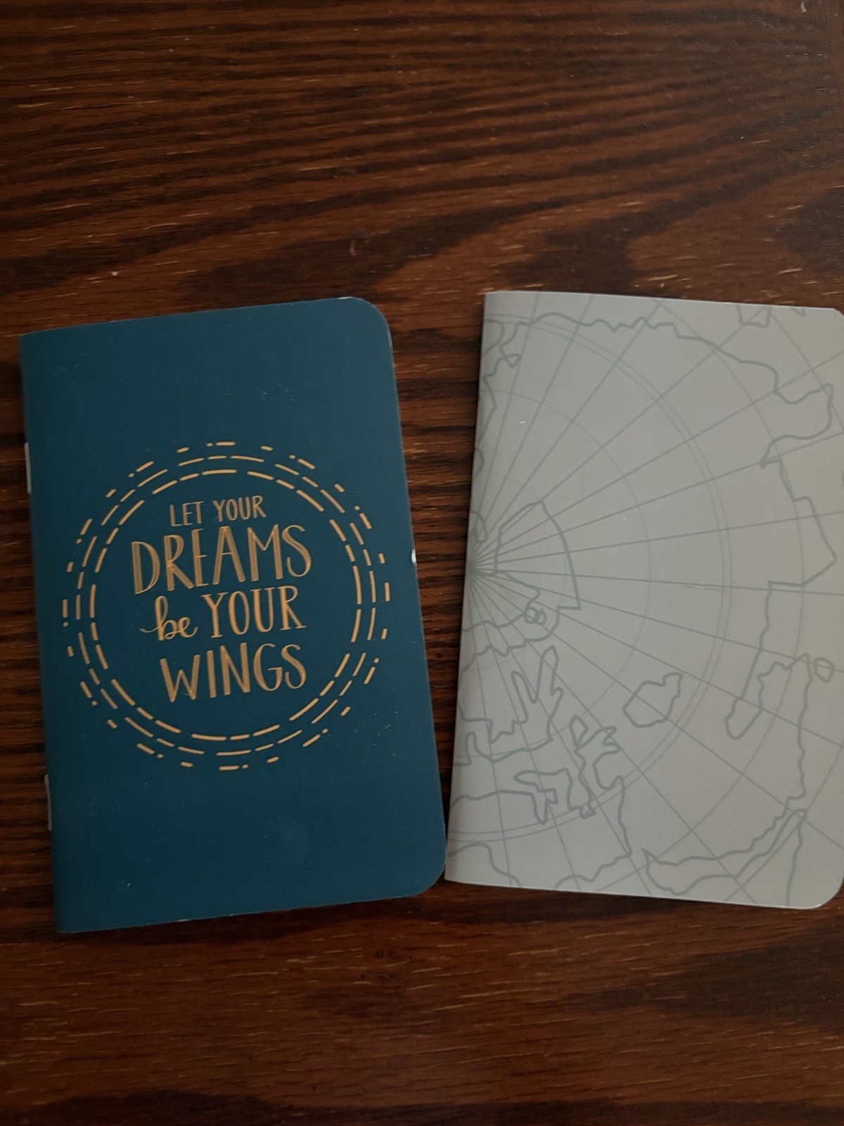 Erin Condren Mini Travel Journals Daily Adventures & Places to Visit 3.5 x 5.5