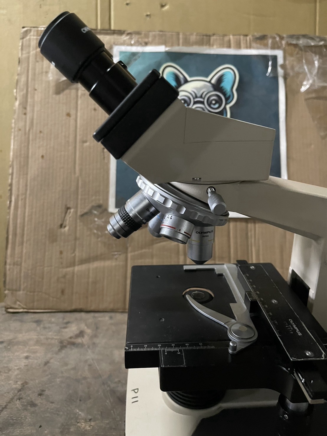 Olympus CH2 Binocular Microscope w/ 4x 10x 40x 100x Objectives Mechanical Stage