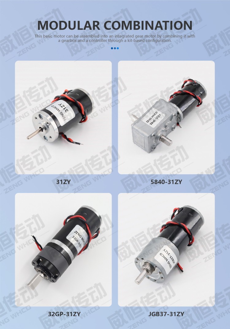31ZY Permanent Magnet DC Carbon Brush Motor with High Speed ​​4000RPM~8000RPM