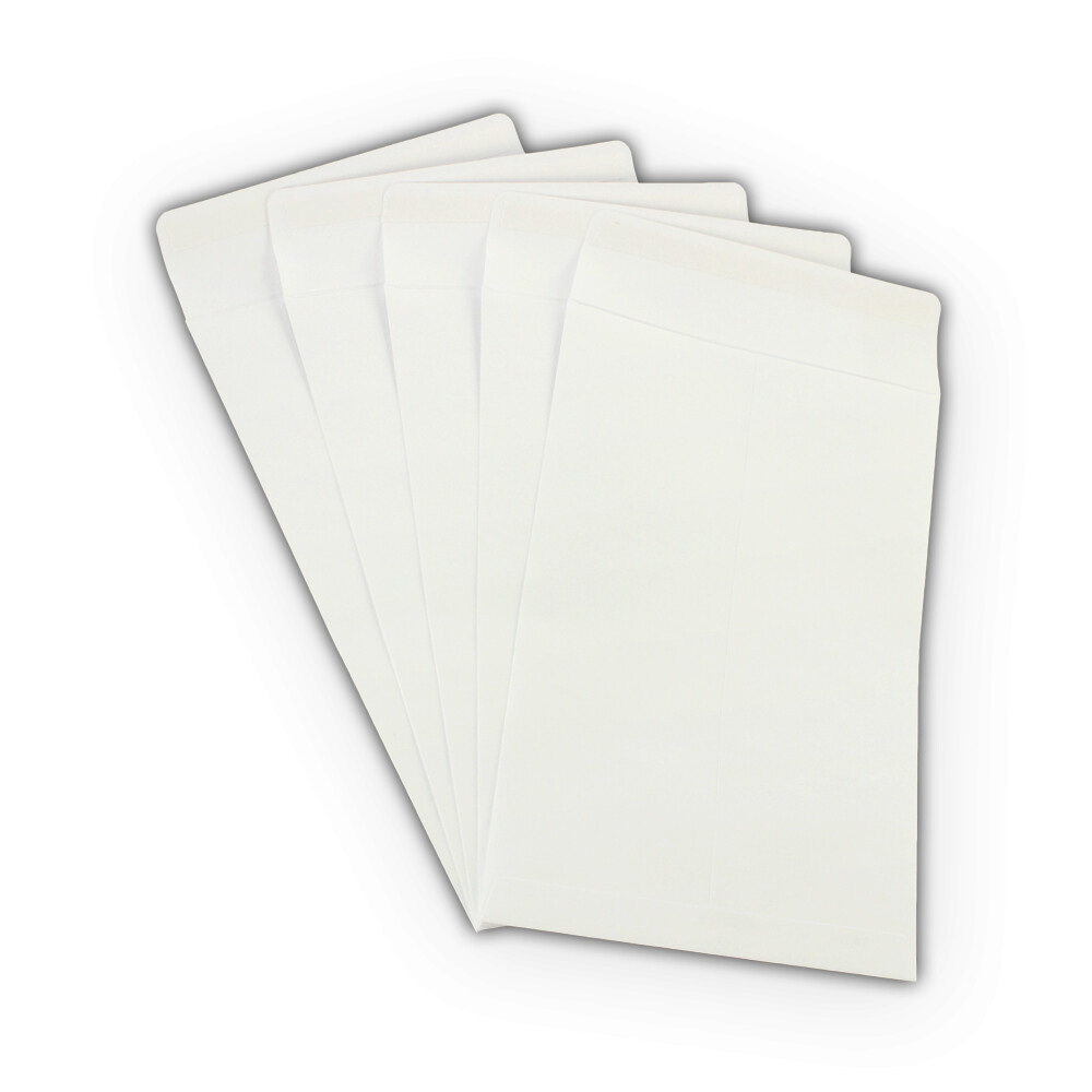 100 6×9 «EcoSwift» Brand Self-Seal Catalog Mailing Shipping Kraft Paper Envelope