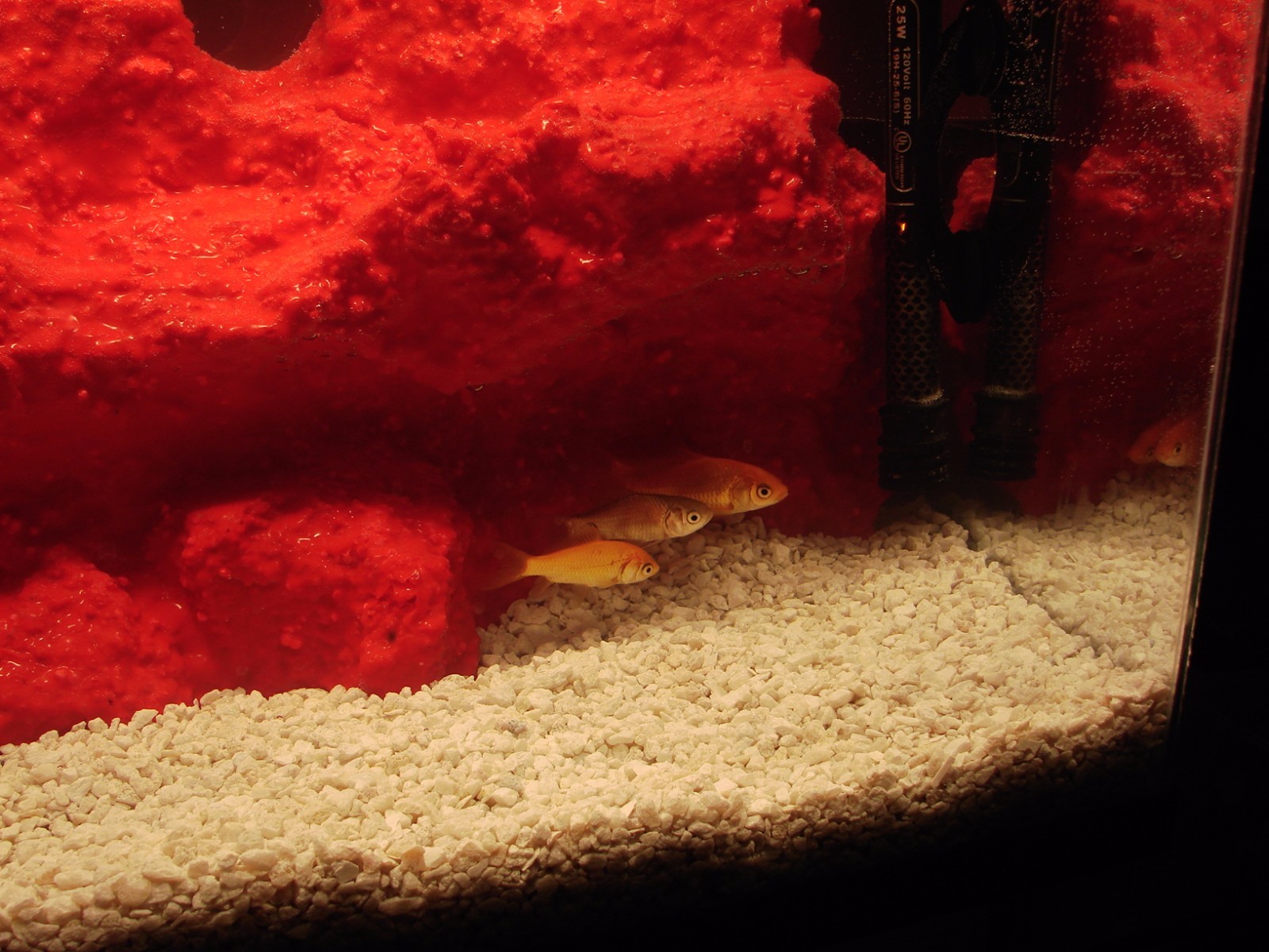 AQUARIUM SAFE EPOXY RESIN REPAIR BUILD 4 COATING & FIBERGLASSING WOOD SEALING