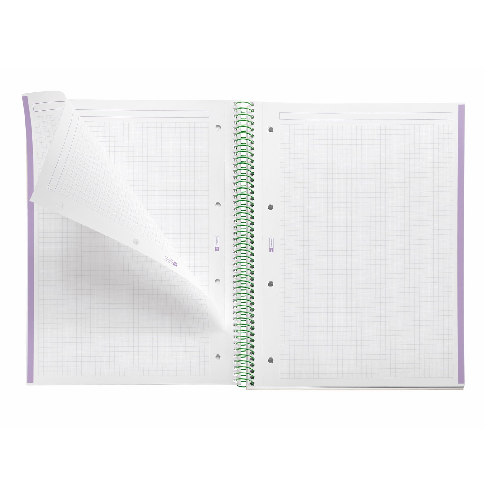 Miquelrius – A4 notebook, 5 mm square, hardcover made of A4, multicoloured