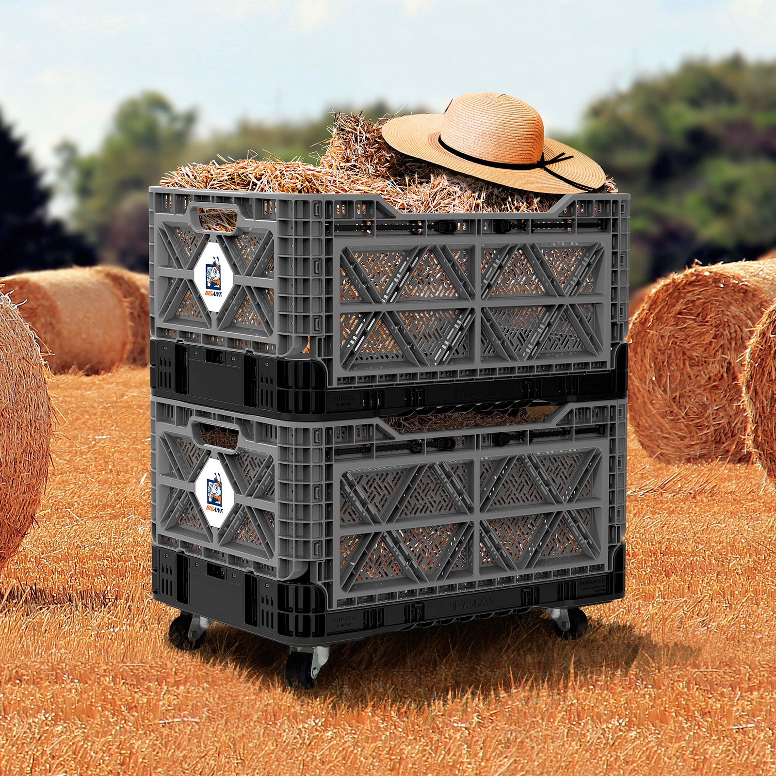 BIG ANT Collapsible Smart Crate, 23.8-Gallon, 265-Lb. Capacity, 16 9/16in.L x
