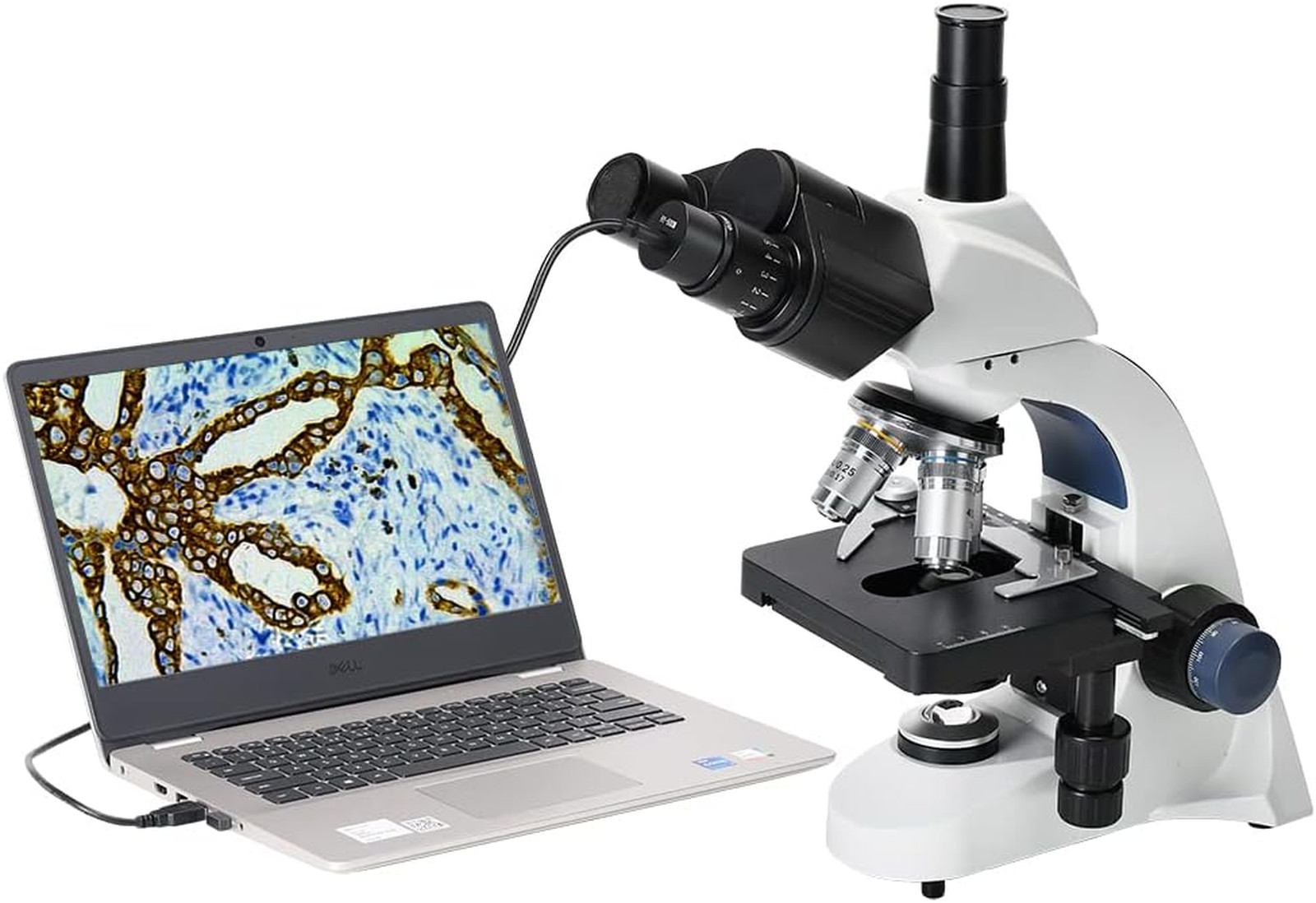 5MP USB Digital Microscope Camera for Science Education Lab Research with