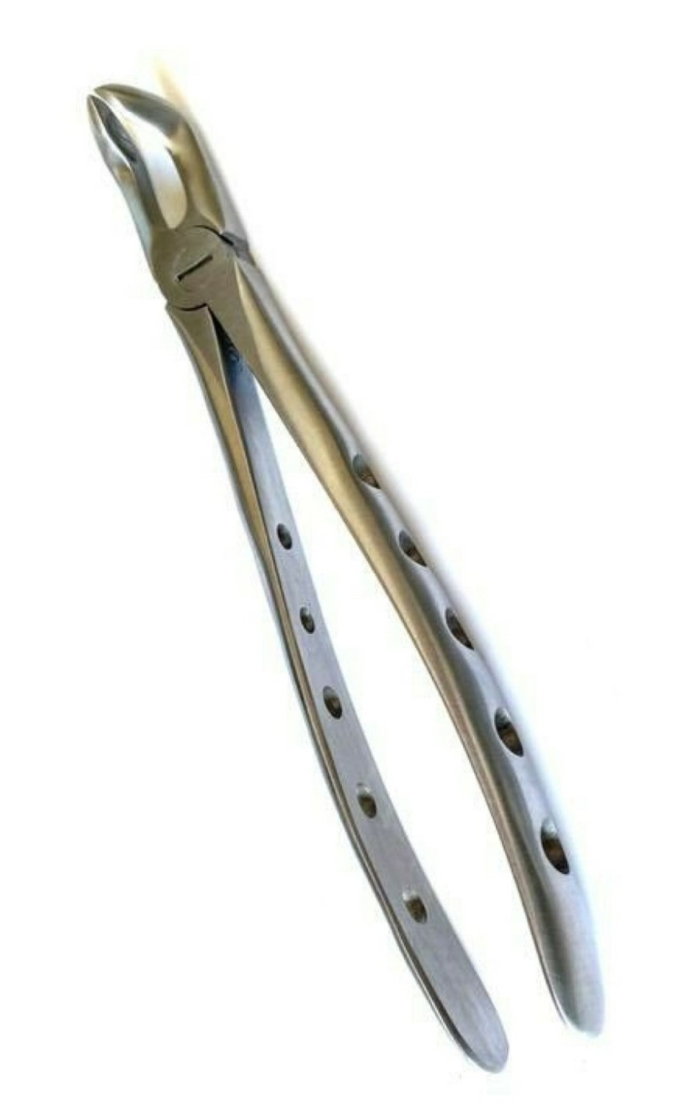 Dental Tooth Extracting Forceps LOWER MOLAR with Serrated Jaws