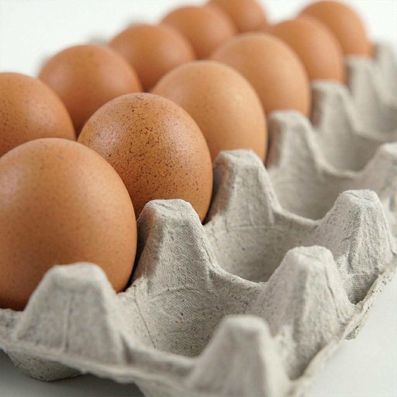 Egg Flat Cartons 30 Count, Pulp Fiber Egg Flats Bulk, Stackable Egg Trays for…