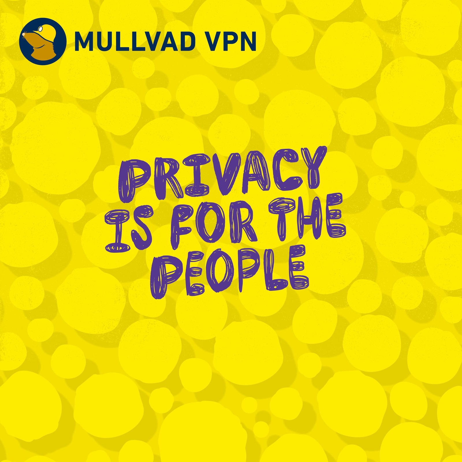 Mullvad VPN 12~Month 5~Device Privacy & Security VPN