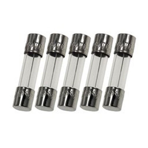 Witonics Pack of 5, 3SB3A250V, T3AL250V, T3A 250V, T3 L250V, T3L250V Cartridge G