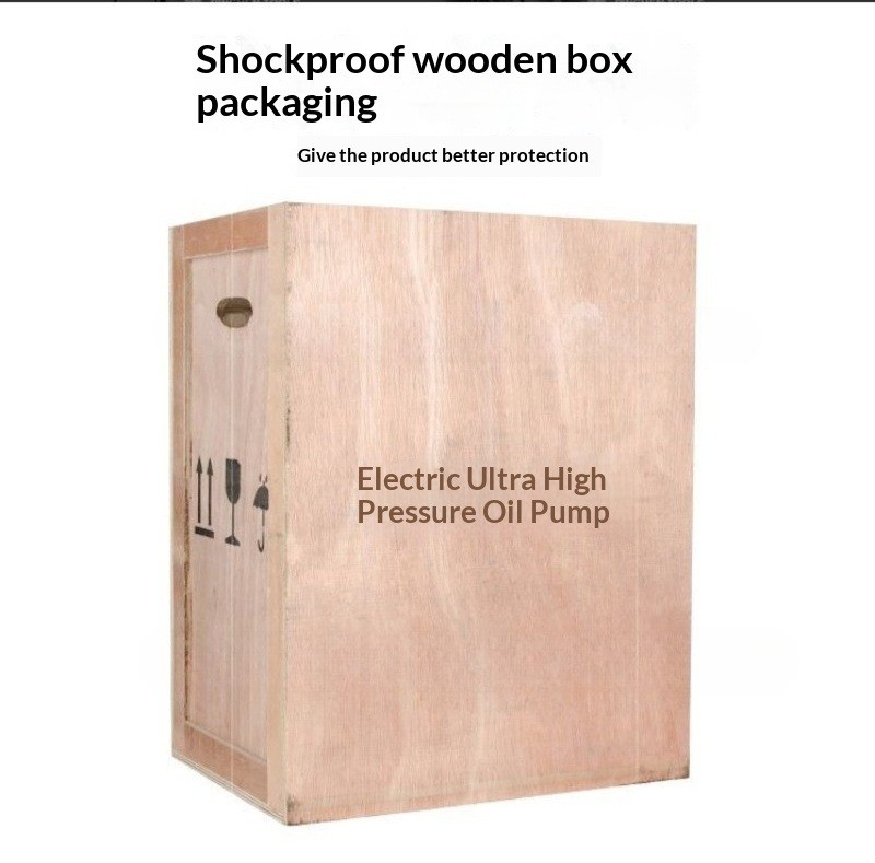 Portable Hydraulic Electric Pump QQ700 Ultra-Compact Oil Pressure Pump Electric