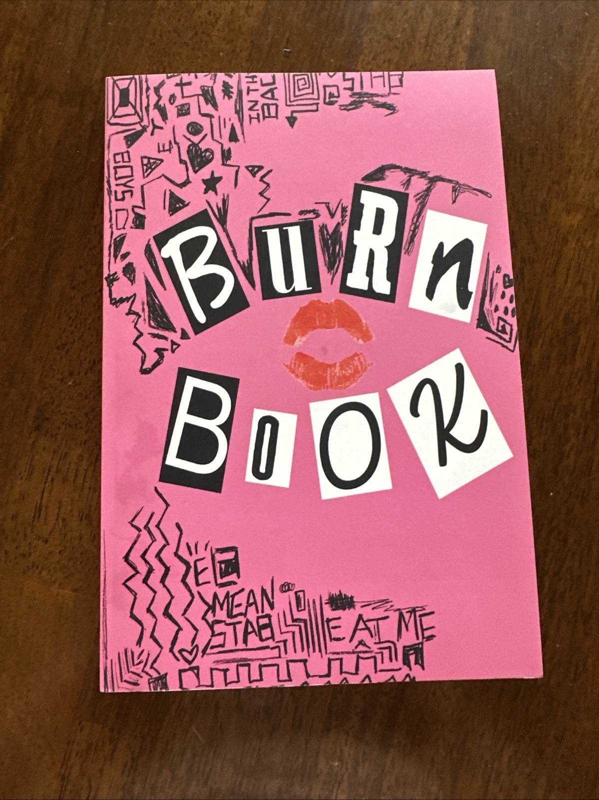 Mean Girls Burn Book Blank Journal – New