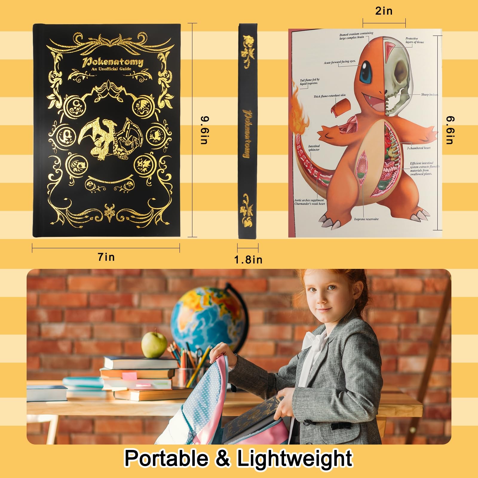 Pokenatomy Envelopes Binder Christmas Birthday Gifts Fans Kids Adults
