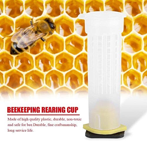 Beekeeping Rearing Cup Kit – Queen Bee Roller Cage Equipment…