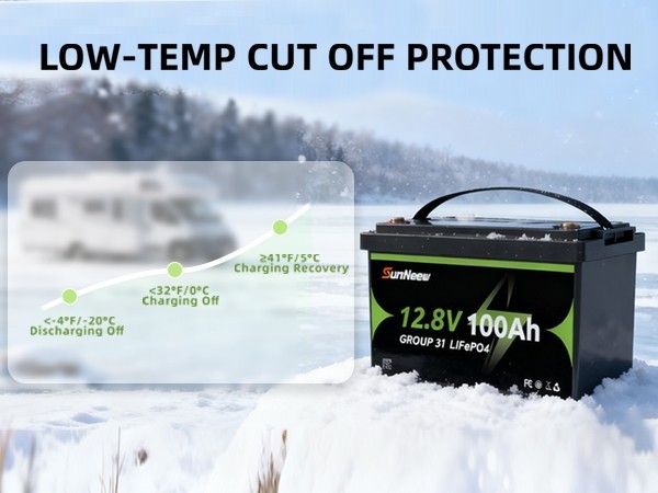 12V 100Ah Lithium LiFePO4 Battery For Solar RV Boat Home Use 15000+ Cycles