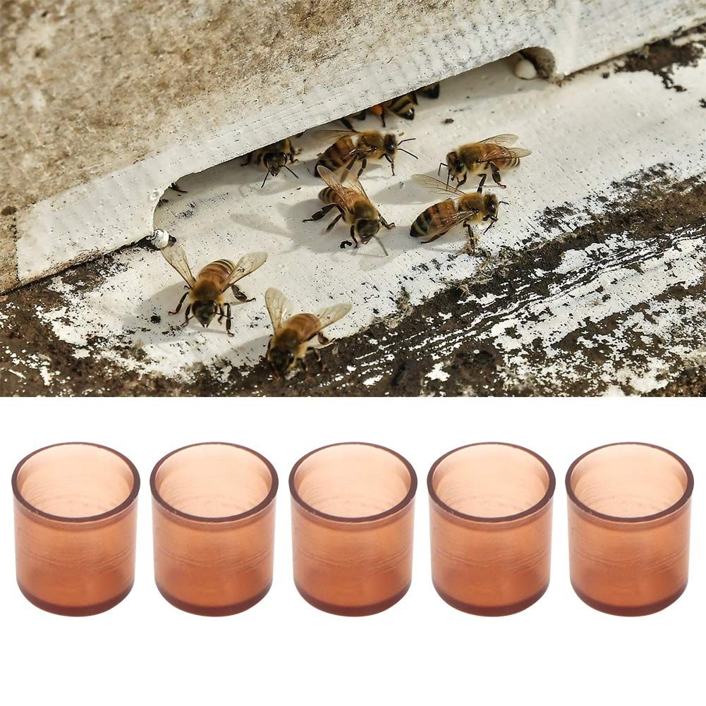 Tiiyee Queen Rearing Cell Cup Holders Honey Bee Keeper Grafting Kit Brown
