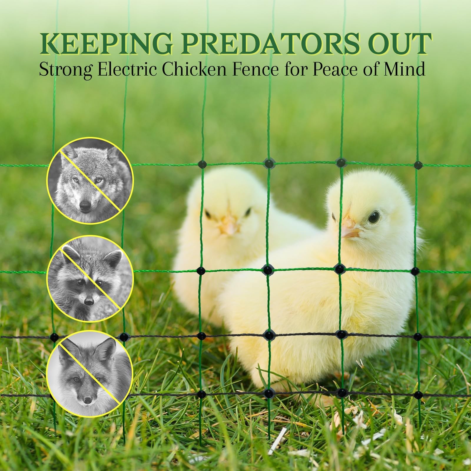 Electric Poultry Chicken Netting Fence Double Spiked Posts 48″ X 164′ 1PK