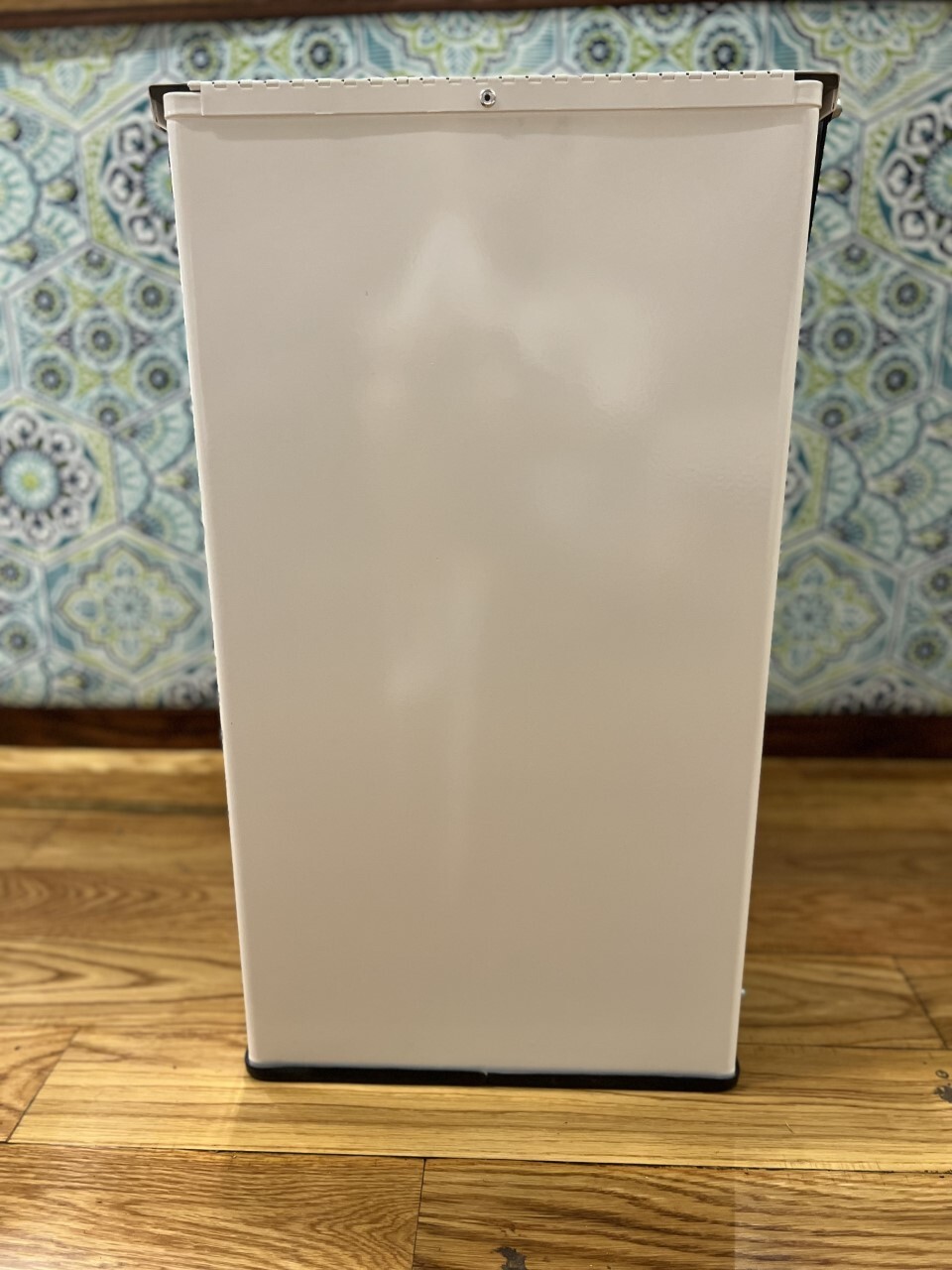 Detecto P-100 Step-On Can Waste Receptical, 100 Quart, White