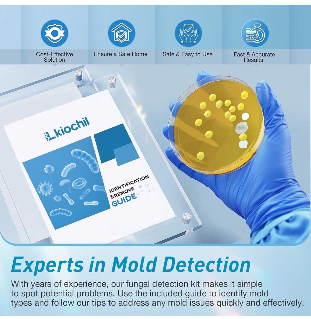 Mold Test Kit for Home