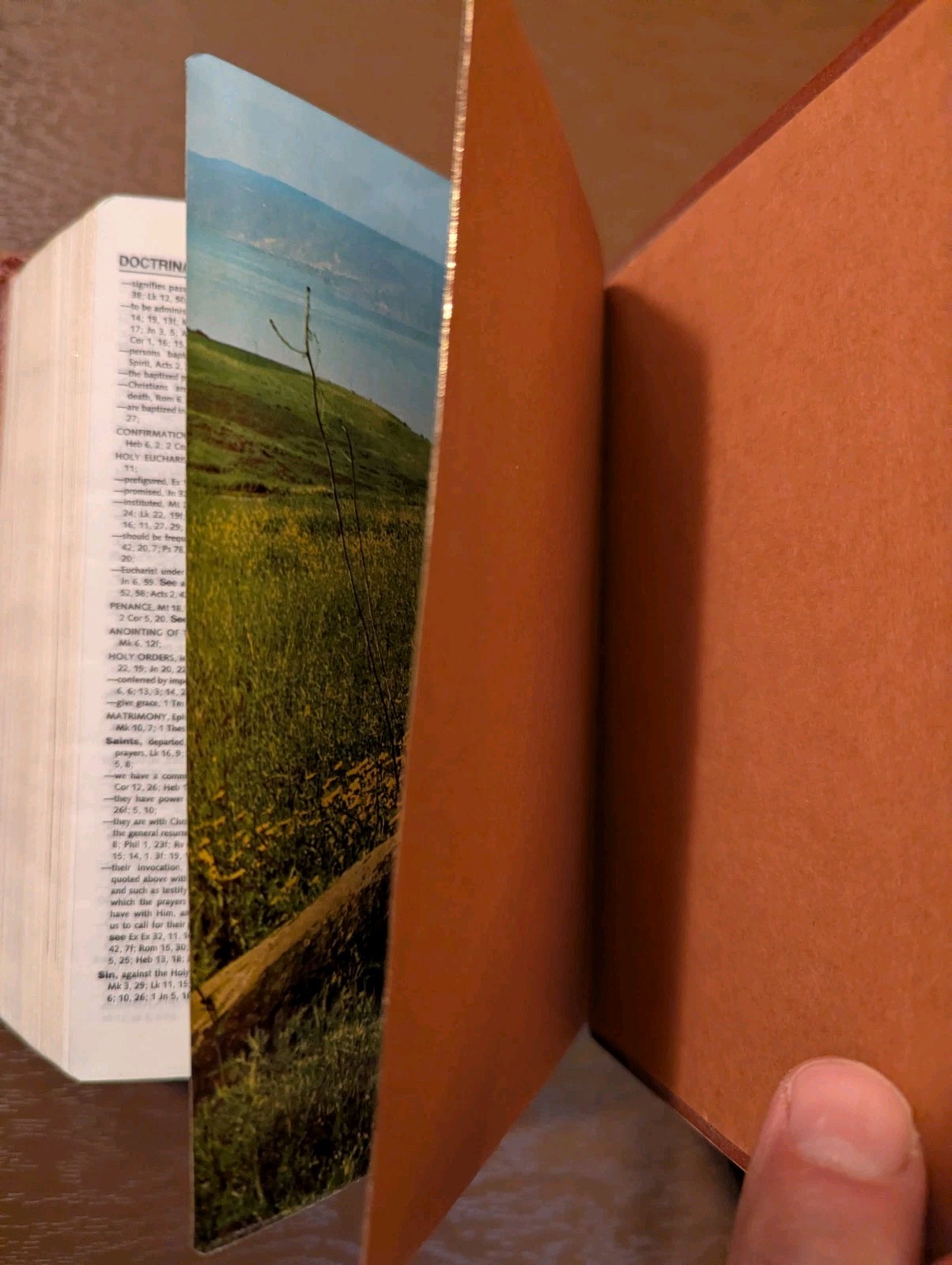 Bible Woodcover high end Israel priest estate