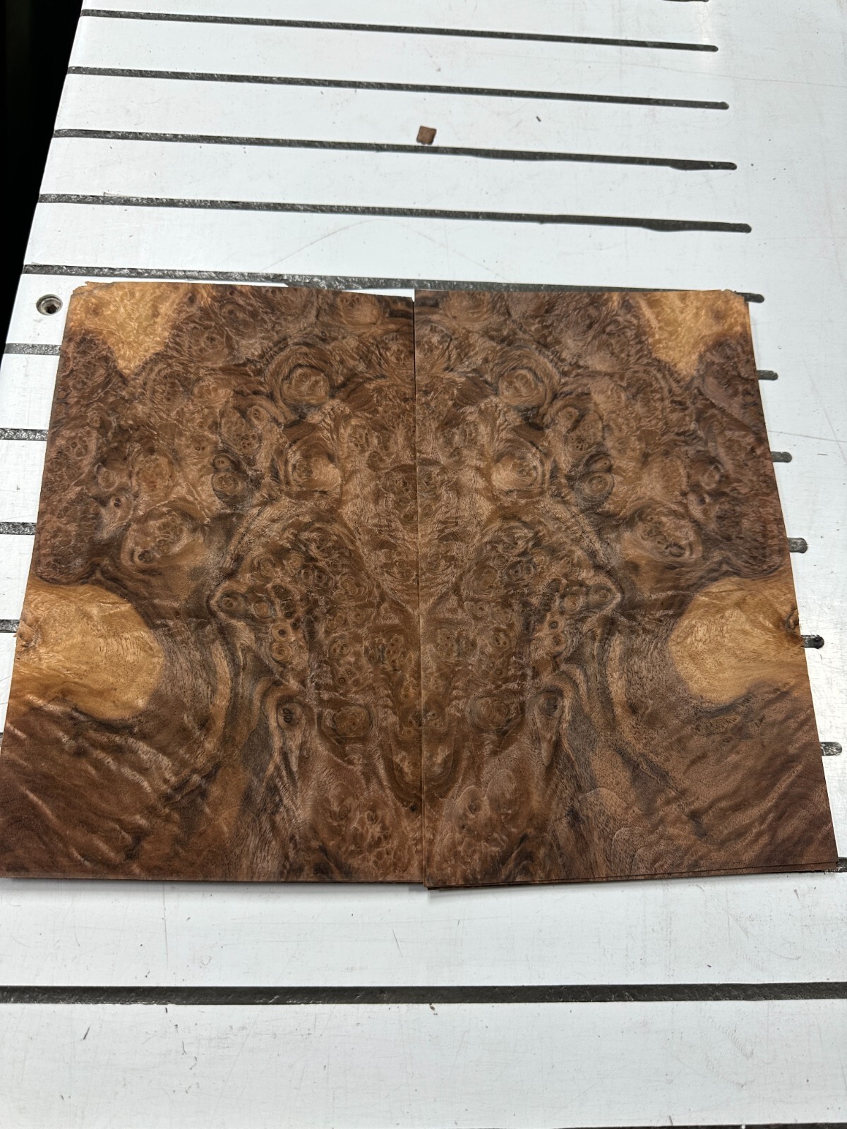 Walnut Burl Raw Wood Veneer 2 sheets 11» x 7» 48K