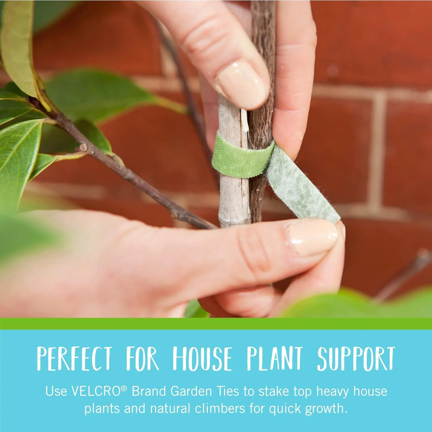 Brand Adjustable Plant Ties | 75 ft x 1/2 in Green Garden Tape | Reusable, Cut-t