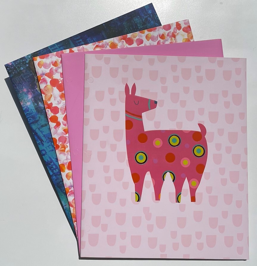 Staples 3-Pocket High Quality Premium Fashion Portfolio Paper Folder Assorted