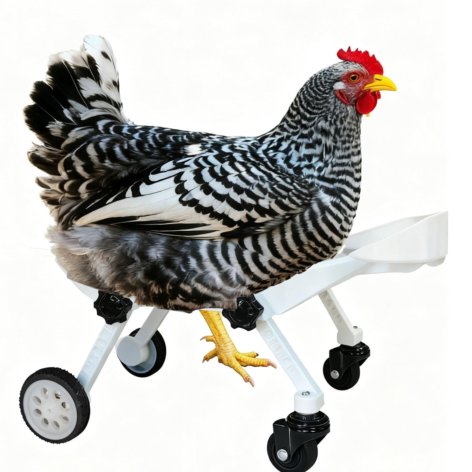 Adjustable Small-Scale Pet Chicken Wheelchair – Small Pet Poultry Mobility Ai…