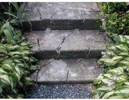 Dexpan 11 Lb Expansive Demolition Grout For Silent Concrete Rock Breaking