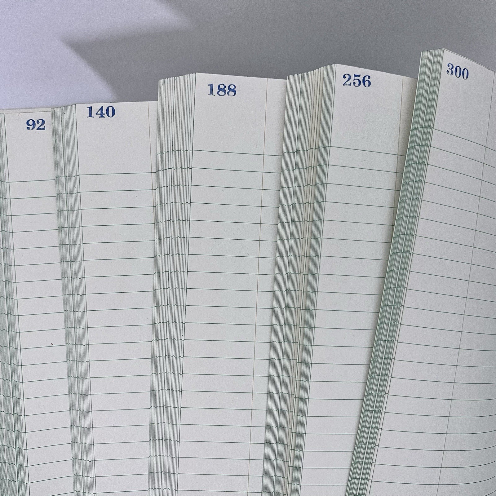 Vintage National Blank Book Company Record Account Ledger Book 300 Pages