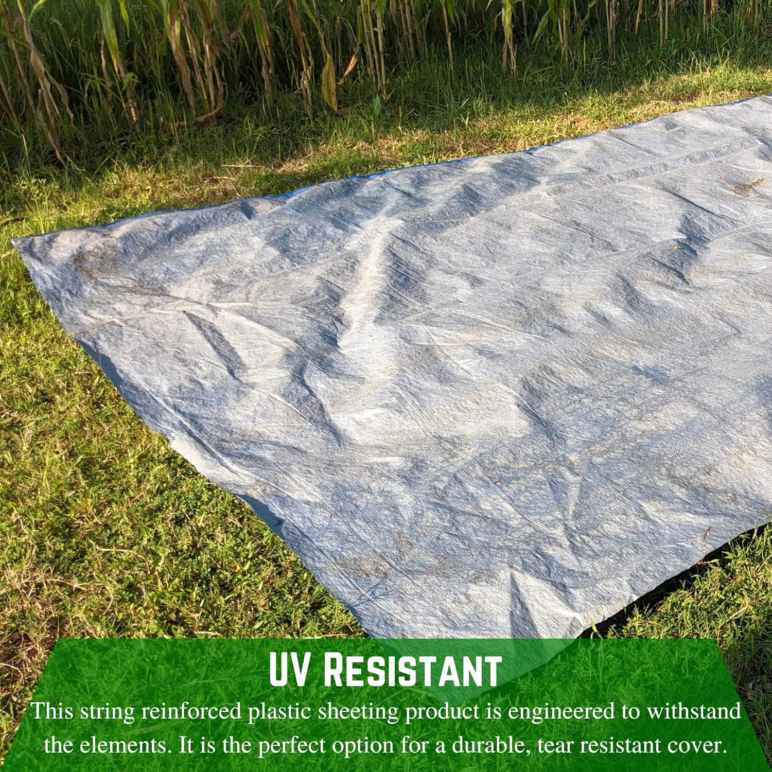 – Dura Skrim String Reinforced White Plastic Sheeting – 20 Mil – (6′ X 10′) – Ex
