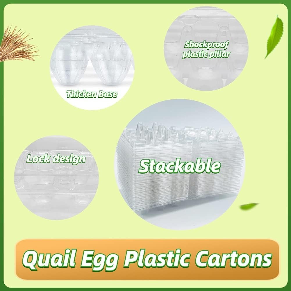 50 Pcs Quail Egg Cartons,12 Grids Small Egg Storage Holders,Quail Eggs Bulk C…