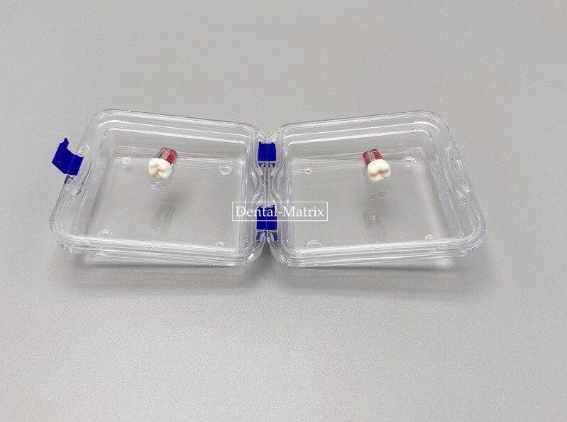 10 Pcs Denture False Teeth Membrane Case Container Hinged Display Box Jewelry