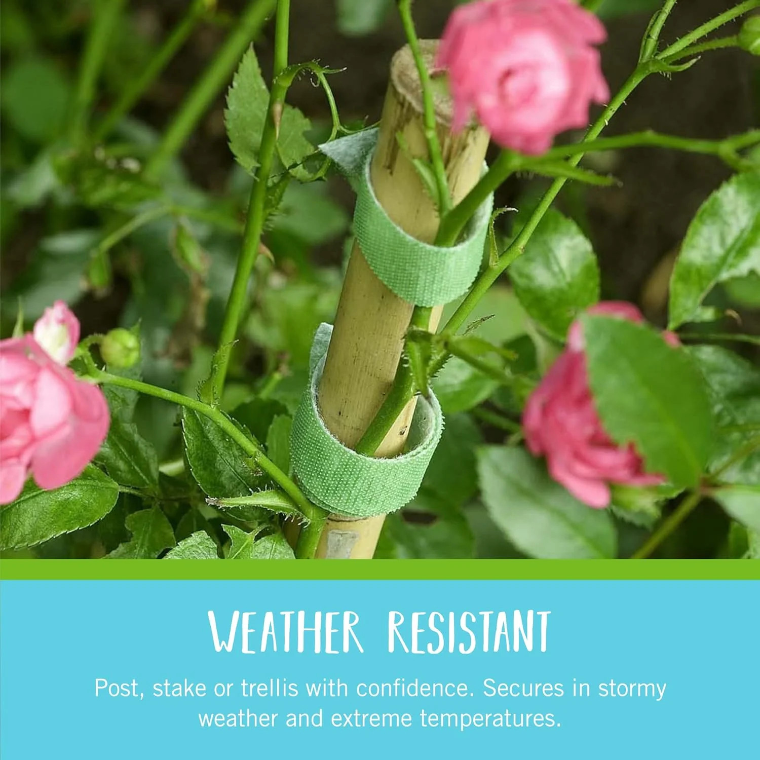Brand Adjustable Plant Ties | 75 ft x 1/2 in Green Garden Tape | Reusable, Cut-t