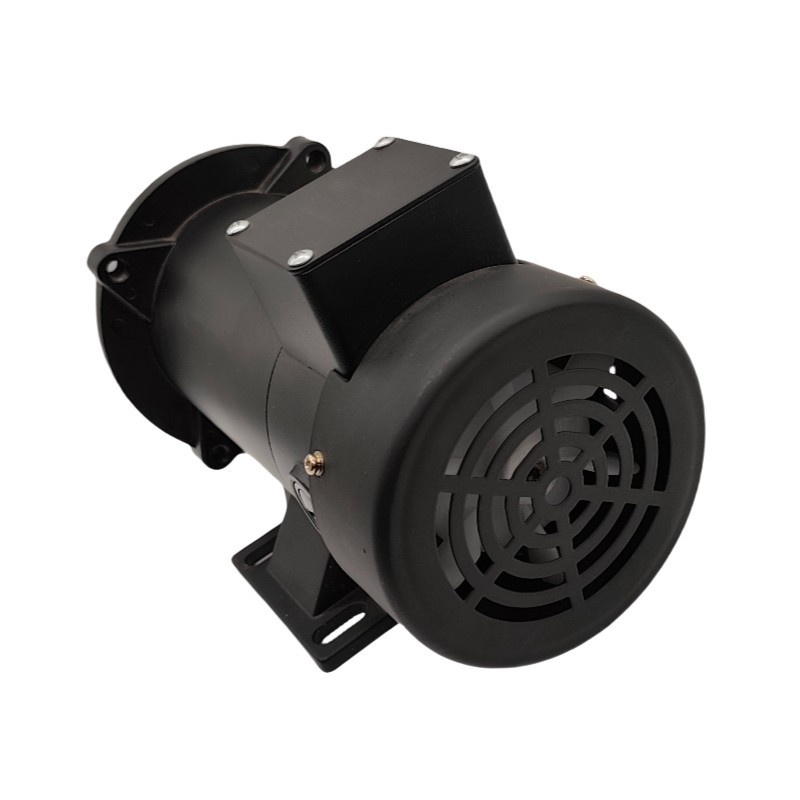 Hot Sales 90V/180V, 12V/24V 3/4 hp 1750RPM Dc Motor
