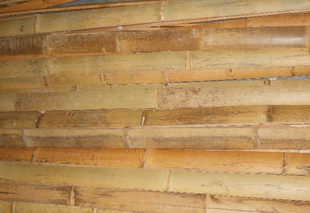 Bamboo Slats/ Half Flat Poles /Plank Fencing -Eco-Garden and Building Material