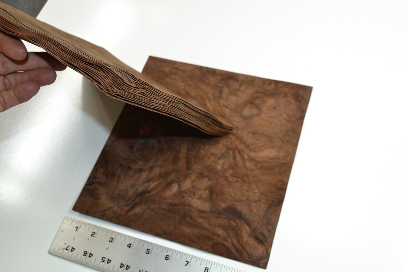 Walnut Burl Raw Wood Veneer Sheet 10 x 10.5 inches 1/42nd thick 4671-85