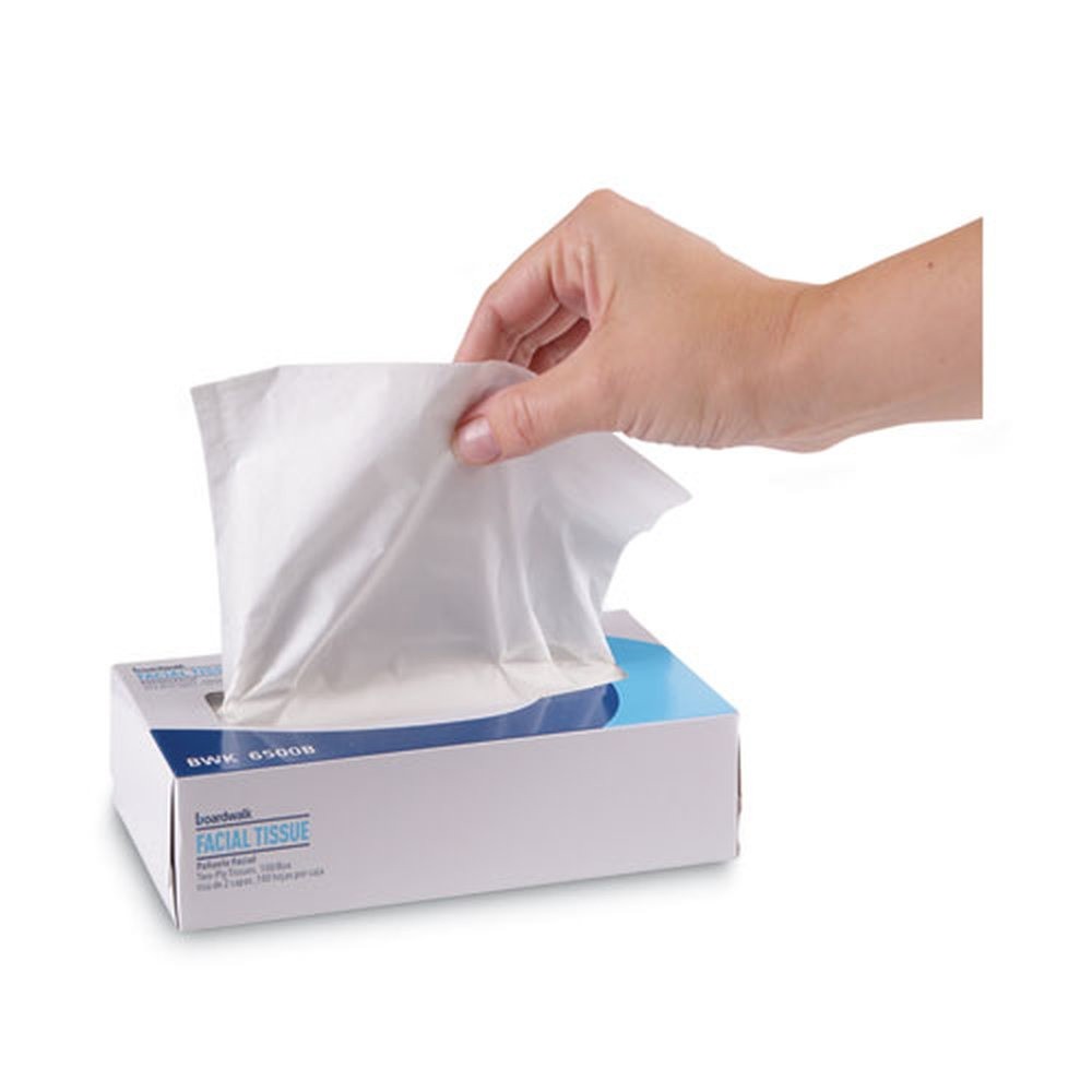 Boardwalk 6500B 2-Ply Office Packs Facial Tissue (100 Sht/Bx, 30 Bx/Ct) New
