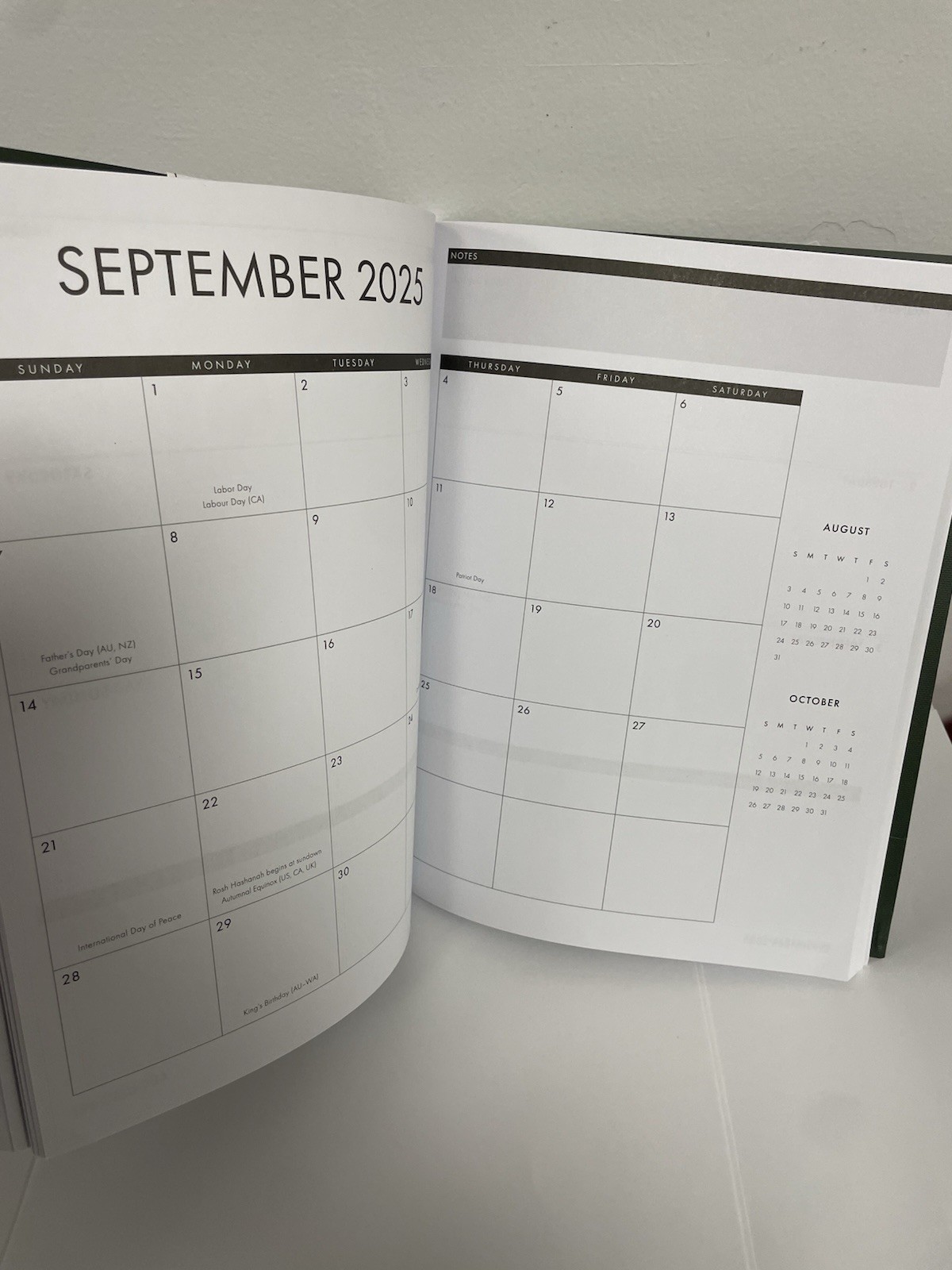 Punch Studio 12 Months Green Floral 2025 Planner Monthly & Weekly Planner