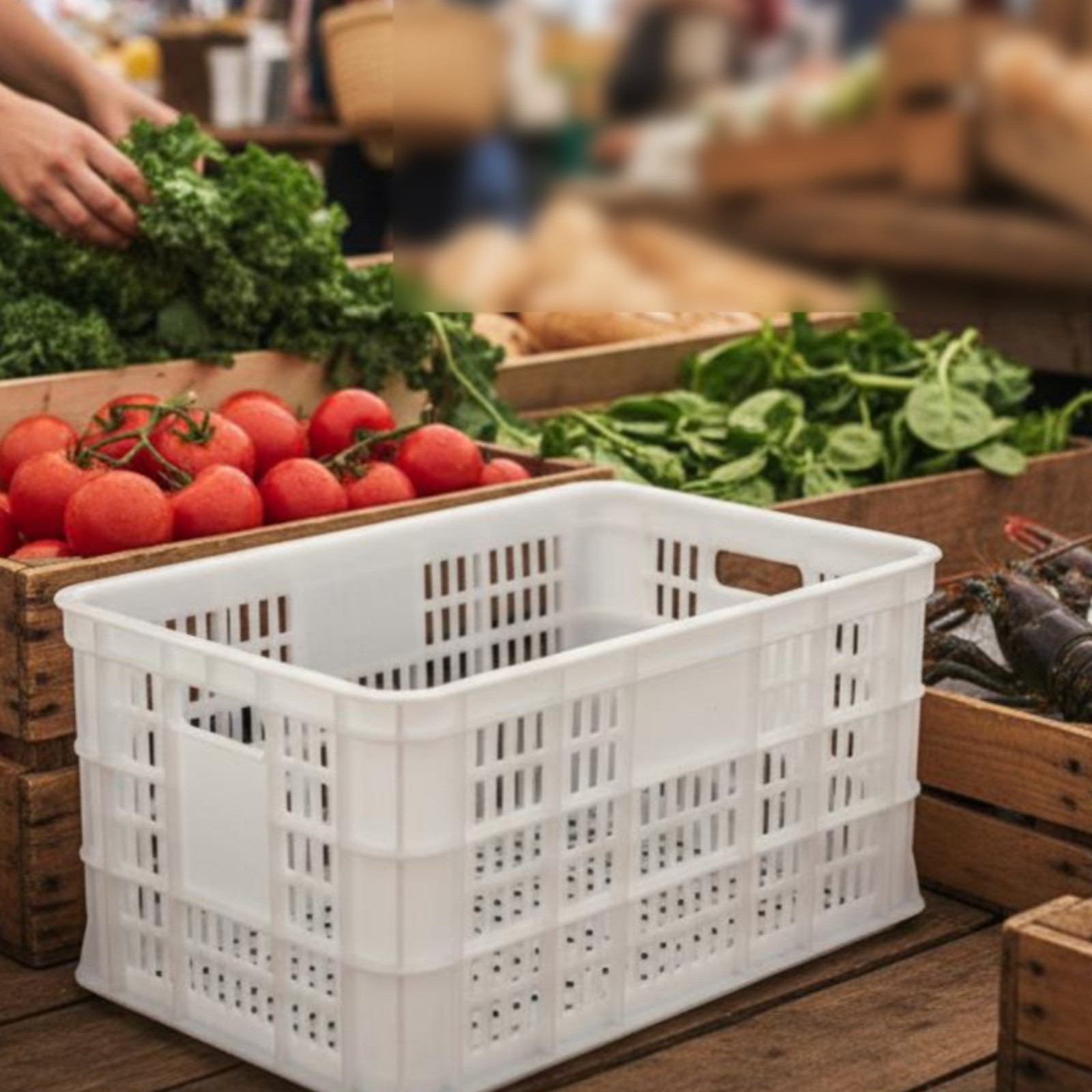 Ventilated Plastic Container Lightweight for Warehouse, Business Owners